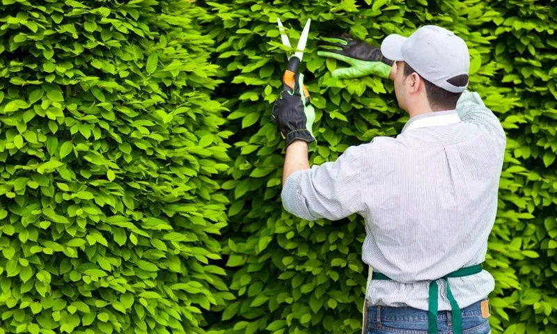 Sản phẩm csscc — Công Ty Cổ Phần Đô Thị Đức Hòa — MST 1100445276