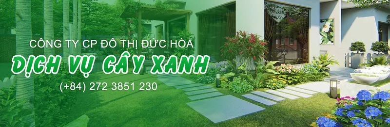 Sản phẩm dich vu cay xanh duc hoa — Công Ty Cổ Phần Đô Thị Đức Hòa — MST 1100445276