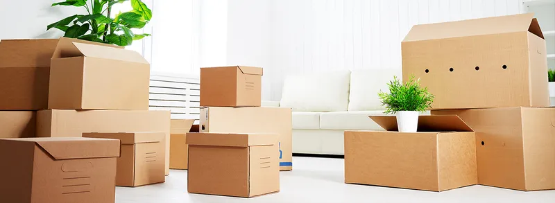 Sản phẩm 6 8347 — Công Ty TNHH Sản Xuất Thương Mại Và Dịch Vụ Quốc Tế — MST 1100638782