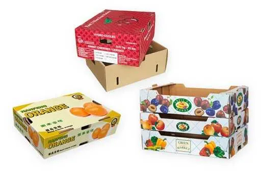 Sản phẩm san xuat bao bi carton uy tin 2 2108 — Công Ty TNHH Sản Xuất Thương Mại Và Dịch Vụ Quốc Tế — MST 1100638782