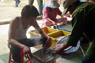 Sản phẩm news4 — Công Ty TNHH Chế Biến Nước Chấm Mekong — MST 1100659528