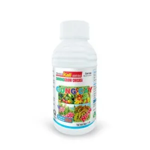 Sản phẩm Annonggrow CHICASI 1 300x300 — Công Ty TNHH An Nông — MST 1100665779