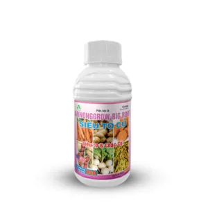 Sản phẩm BIG ROOT 300x300 — Công Ty TNHH An Nông — MST 1100665779