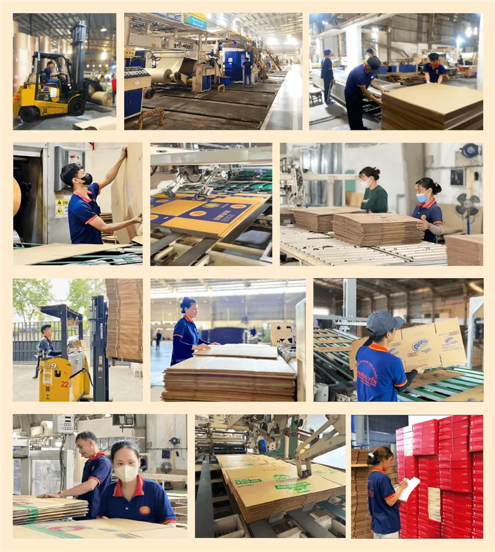 Sản phẩm hinh anh hoat dong 0 967 — Công Ty TNHH Phương Yến — MST 1100689748