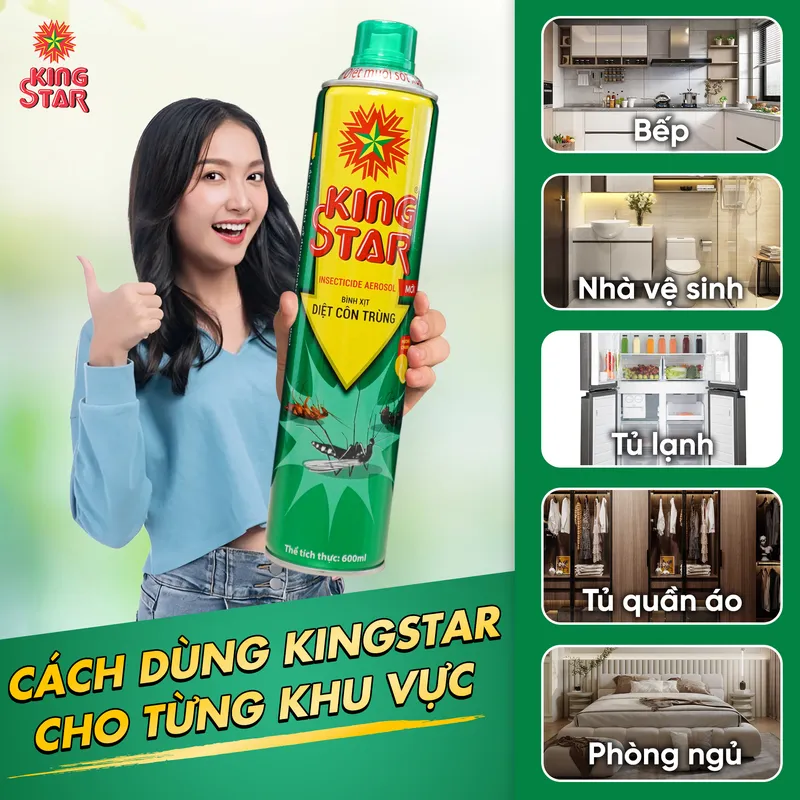 Sản phẩm 500198345_1164357665490528_364795105741244249_n — Công Ty TNHH King Show - Việt Nam — MST 1100694723