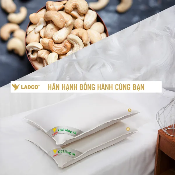 Sản phẩm chua dat ten1 9480 — Công Ty Cổ Phần Lông Vũ Xuất Nhập Khẩu Tổng Hợp Long An — MST 1100710830