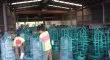 Sản phẩm 381299238474421vi — Công Ty TNHH Đại Đồng Phát — MST 1100727714