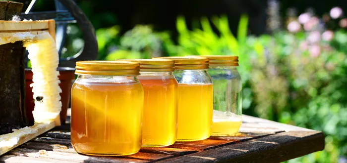 Sản phẩm nap nut thuy tinh — Chai Lọ Thủy Tinh Cẩm Đạt - Công Ty TNHH Thương Mại Và Sản Xuất Cẩm Đạt — MST 1100797084