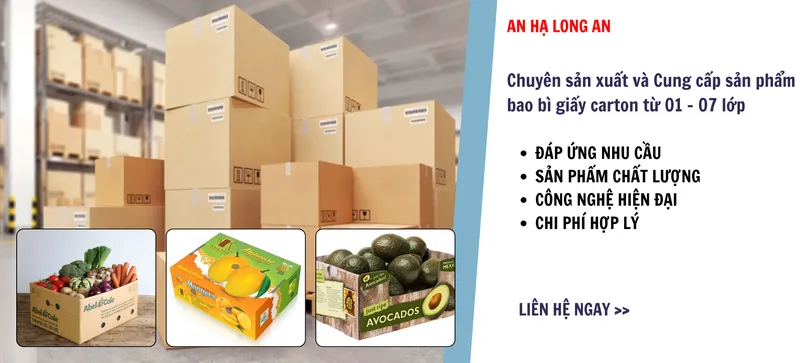 Sản phẩm anhala 1729148206 — Bao Bì Carton An Hạ Long An - Công Ty TNHH An Hạ Long An — MST 1100824933