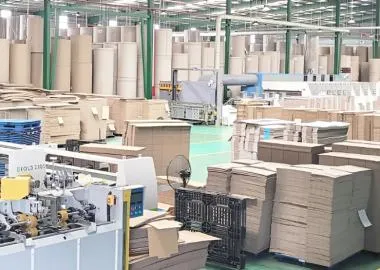 Sản phẩm tin tuc an ha long an kinh doanh thung carton co the tang vot nho thuong mai dien tu 1730164871 — Bao Bì Carton An Hạ Long An - Công Ty TNHH An Hạ Long An — MST 1100824933