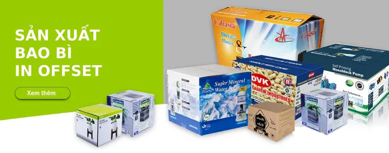 Sản phẩm video an ha long an 1730184830 — Bao Bì Carton An Hạ Long An - Công Ty TNHH An Hạ Long An — MST 1100824933