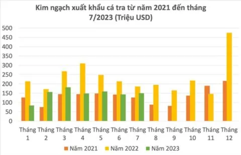 Sản phẩm hoi thao quoc te nganh ca tra 2023 480x308 — Công Ty CP Thái Việt — MST 1100835572