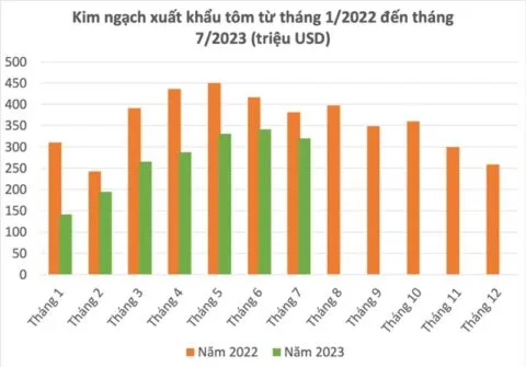 Sản phẩm hoi thao quoc te nganh tom 2023 480x335 — Công Ty CP Thái Việt — MST 1100835572