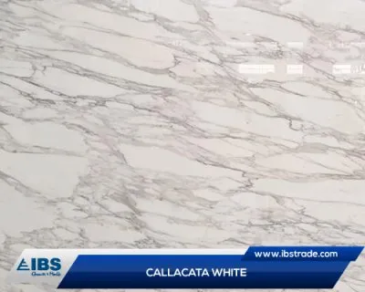 Sản phẩm cala1 5270 — Công Ty Cổ Phần IBS — MST 1100903649