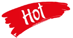 Sản phẩm hot — Công Ty Cổ Phần IBS — MST 1100903649
