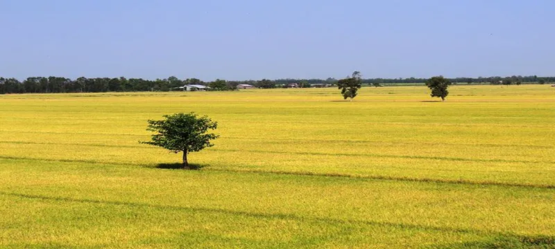Sản phẩm huynh thuan phat 1168x525 4 — Công Ty TNHH Huỳnh Thuận Phát — MST 1101196745