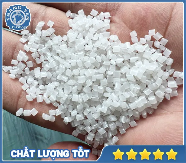 Sản phẩm Tai sinh jumbo 2 — Hạt Nhựa Trang Yên - Công Ty TNHH TM Nhựa Trang Yên — MST 1101518625