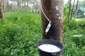 Sản phẩm cs 2122_295x195 — Cao Su Bảo Toàn - Công Ty Trách Nhiệm Hữu Hạn Công Nghiệp Cao Su - Nhựa Bảo Toàn — MST 1101680226