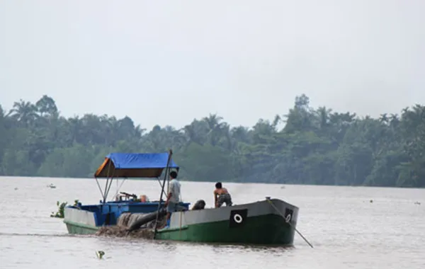 Sản phẩm chot 4 1495376999955 — Công Ty TNHH Cát Sơn Vương — MST 1101690866