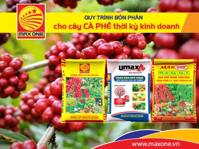 Sản phẩm CA_PHE_W — Công Ty Cổ Phần Phân Bón Max One — MST 1101728439