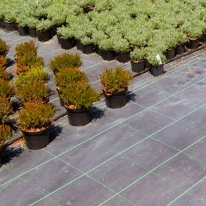 Sản phẩm Weed Control Fabric 300x300 — Công Ty TNHH Công Nghiệp Agrina — MST 1101746205
