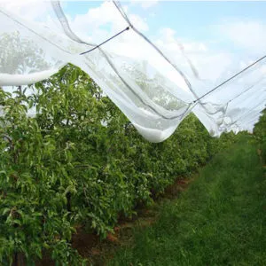 Sản phẩm anti hail main product 300x300 — Công Ty TNHH Công Nghiệp Agrina — MST 1101746205