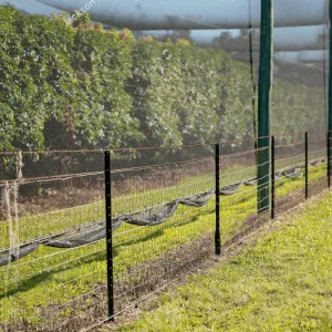 Sản phẩm Anti Wind Netting 300x300 — Công Ty TNHH Công Nghiệp Agrina — MST 1101746205