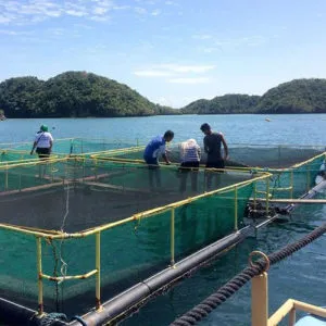 Sản phẩm Aqua Main Picture 300x300 — Công Ty TNHH Công Nghiệp Agrina — MST 1101746205
