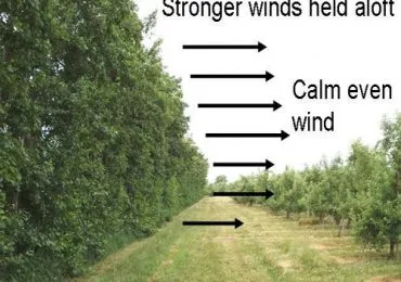 Sản phẩm wind breaks 370x260 — Công Ty TNHH Công Nghiệp Agrina — MST 1101746205