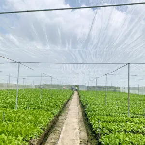 Sản phẩm z4642696054450_ef97480b5383045e7fc84d545cce08a0 300x300 — Công Ty TNHH Công Nghiệp Agrina — MST 1101746205