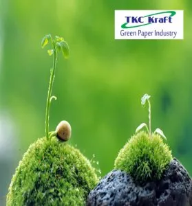 Sản phẩm 400x434 279x300 — Công Ty CP TKC Kraft — MST 1101764532
