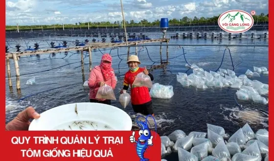 Sản phẩm thumb 1267 — Vôi Càng Long - Công Ty TNHH Một Thành Viên Vôi Càng Long Hà Nam — MST 1101769234