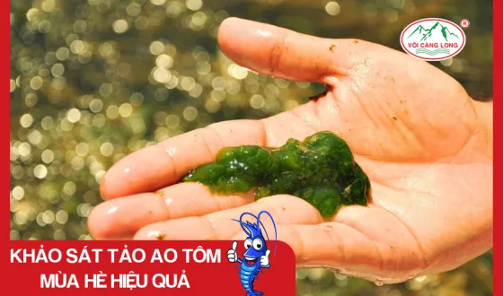Sản phẩm thumb 1466 — Vôi Càng Long - Công Ty TNHH Một Thành Viên Vôi Càng Long Hà Nam — MST 1101769234