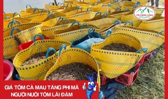 Sản phẩm thumb 1675 — Vôi Càng Long - Công Ty TNHH Một Thành Viên Vôi Càng Long Hà Nam — MST 1101769234