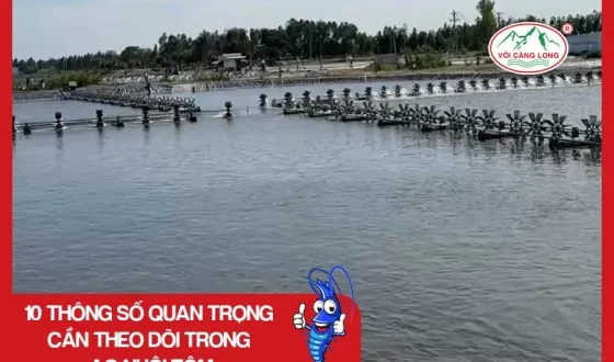 Sản phẩm thumb 1900 — Vôi Càng Long - Công Ty TNHH Một Thành Viên Vôi Càng Long Hà Nam — MST 1101769234