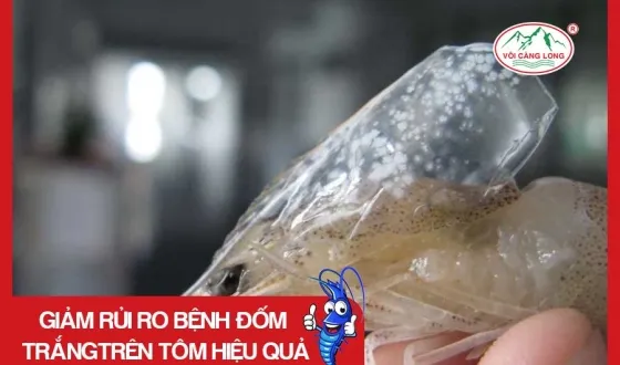 Sản phẩm thumb 1913 — Vôi Càng Long - Công Ty TNHH Một Thành Viên Vôi Càng Long Hà Nam — MST 1101769234