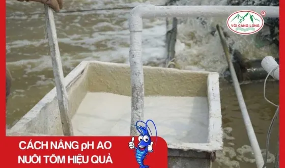 Sản phẩm thumb 3080 — Vôi Càng Long - Công Ty TNHH Một Thành Viên Vôi Càng Long Hà Nam — MST 1101769234