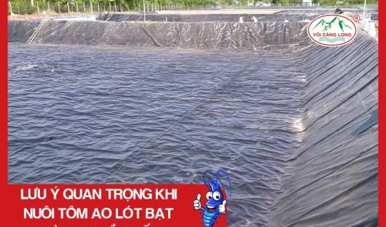 Sản phẩm thumb 3115 — Vôi Càng Long - Công Ty TNHH Một Thành Viên Vôi Càng Long Hà Nam — MST 1101769234