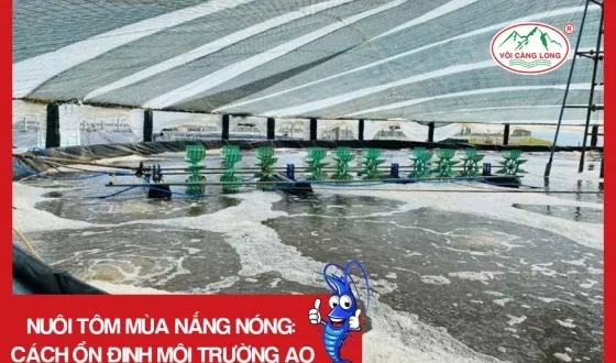 Sản phẩm thumb 3131 — Vôi Càng Long - Công Ty TNHH Một Thành Viên Vôi Càng Long Hà Nam — MST 1101769234