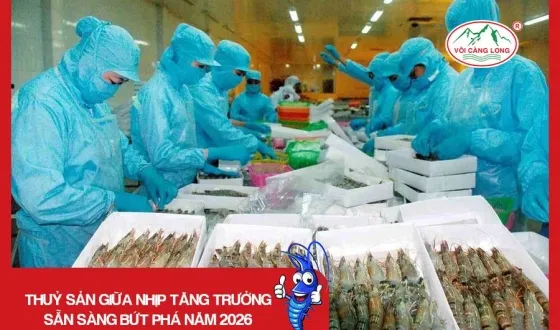 Sản phẩm thumb 3232 — Vôi Càng Long - Công Ty TNHH Một Thành Viên Vôi Càng Long Hà Nam — MST 1101769234