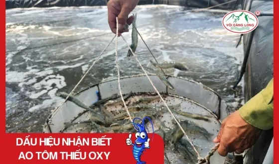 Sản phẩm thumb 3273 — Vôi Càng Long - Công Ty TNHH Một Thành Viên Vôi Càng Long Hà Nam — MST 1101769234