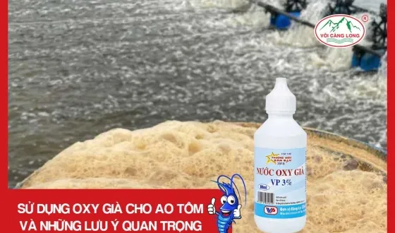 Sản phẩm thumb 3769 — Vôi Càng Long - Công Ty TNHH Một Thành Viên Vôi Càng Long Hà Nam — MST 1101769234