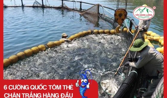 Sản phẩm thumb 4102 — Vôi Càng Long - Công Ty TNHH Một Thành Viên Vôi Càng Long Hà Nam — MST 1101769234
