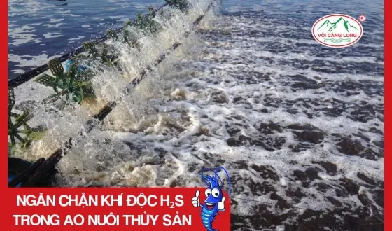 Sản phẩm thumb 4187 — Vôi Càng Long - Công Ty TNHH Một Thành Viên Vôi Càng Long Hà Nam — MST 1101769234