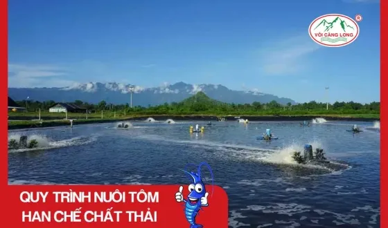 Sản phẩm thumb 4392 — Vôi Càng Long - Công Ty TNHH Một Thành Viên Vôi Càng Long Hà Nam — MST 1101769234