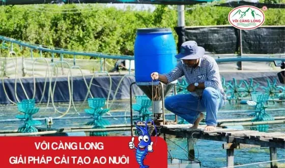 Sản phẩm thumb 4403 — Vôi Càng Long - Công Ty TNHH Một Thành Viên Vôi Càng Long Hà Nam — MST 1101769234