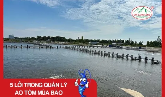 Sản phẩm thumb 4616 — Vôi Càng Long - Công Ty TNHH Một Thành Viên Vôi Càng Long Hà Nam — MST 1101769234