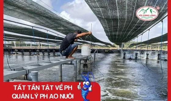 Sản phẩm thumb 4783 — Vôi Càng Long - Công Ty TNHH Một Thành Viên Vôi Càng Long Hà Nam — MST 1101769234