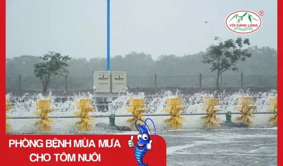 Sản phẩm thumb 4912 — Vôi Càng Long - Công Ty TNHH Một Thành Viên Vôi Càng Long Hà Nam — MST 1101769234