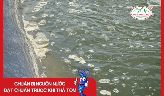 Sản phẩm thumb 5822 — Vôi Càng Long - Công Ty TNHH Một Thành Viên Vôi Càng Long Hà Nam — MST 1101769234